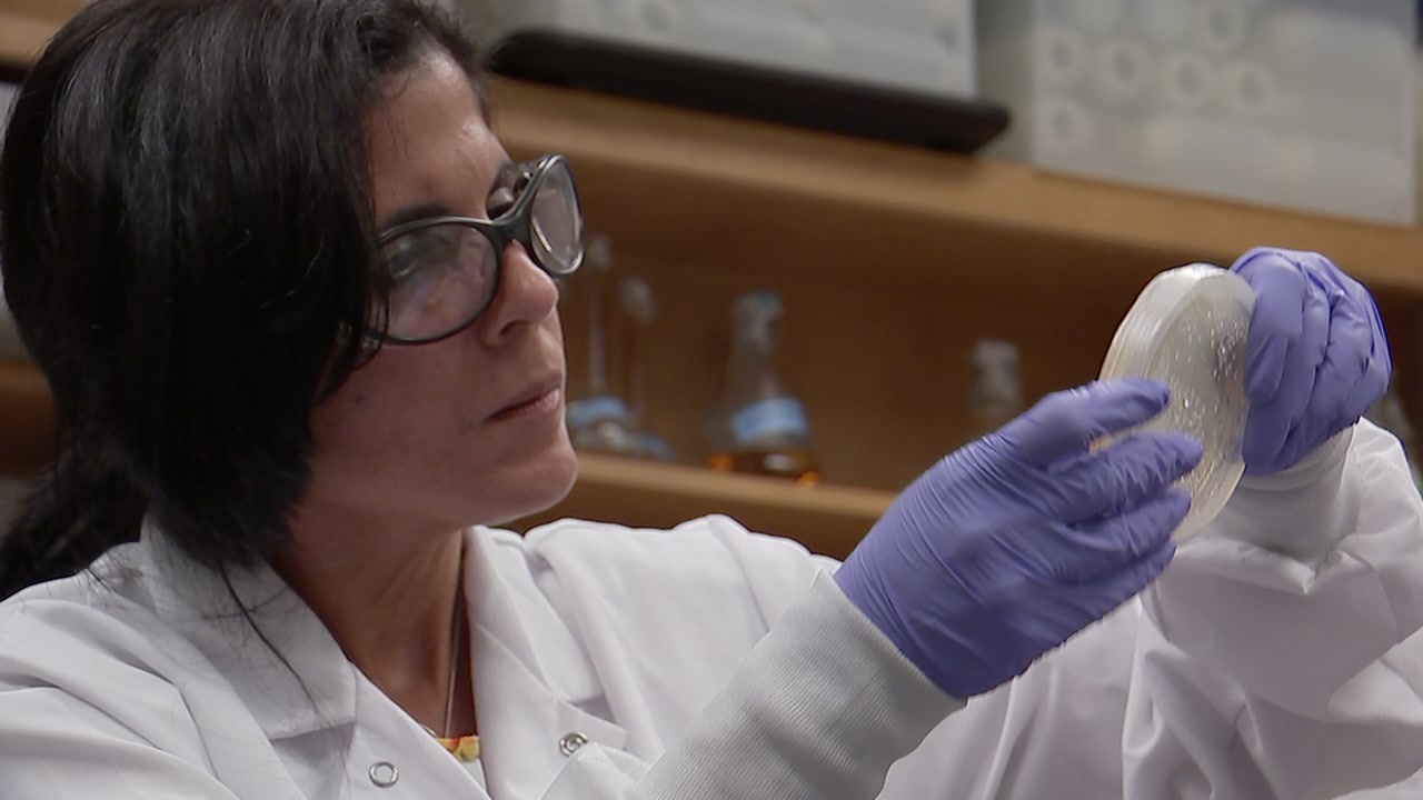 Meet local women thriving in the sciences